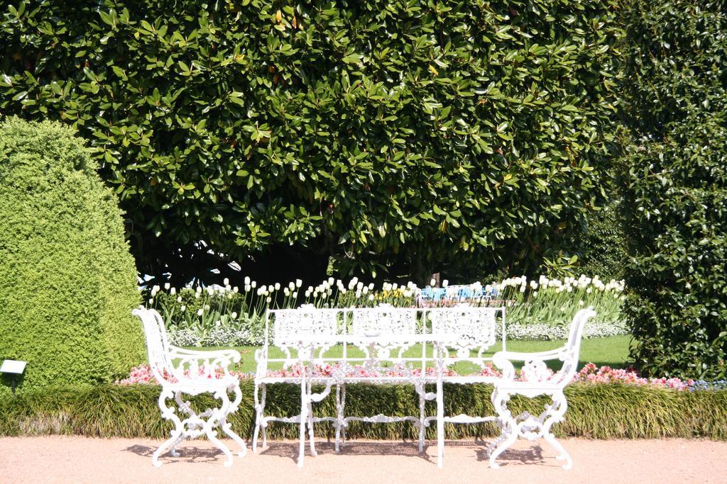 Grand Hotel Des Iles Borromees & Spa Stresa Esterno foto The White Garden